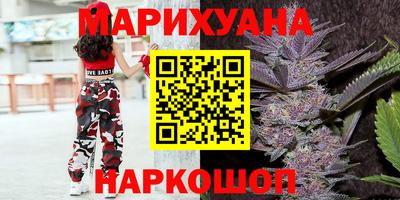 прущие грибы Бердск