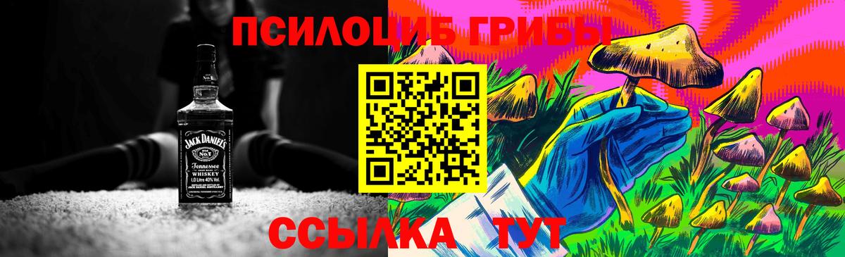 Псилоцибиновые грибы Cubensis  Вход с VPN  Каменск-Шахтинский 