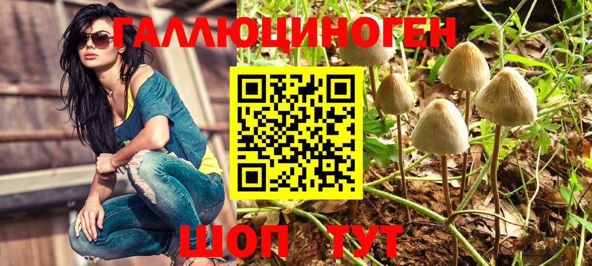Галлюциногенные грибы MAGIC MUSHROOMS Каменск-Шахтинский